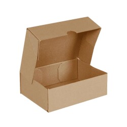 Kesimli (4 Nokta) Kargo Kutusu 25x10x10 cm - Koliekspres